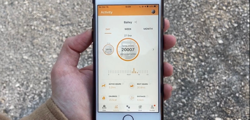 Daily activity report on the Pawfit mobile app